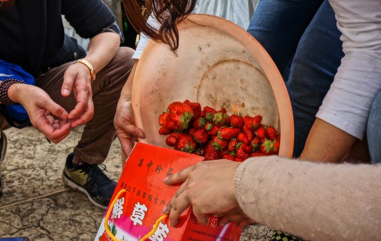 圖片關(guān)鍵詞